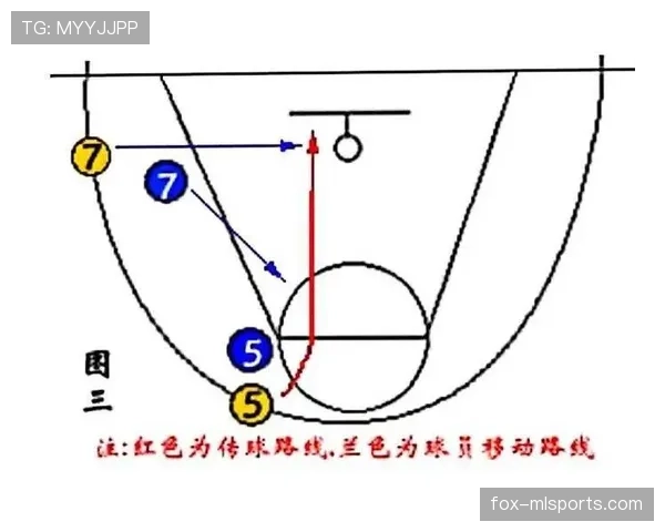 篮球运球规则的合法动作与违例判定解析